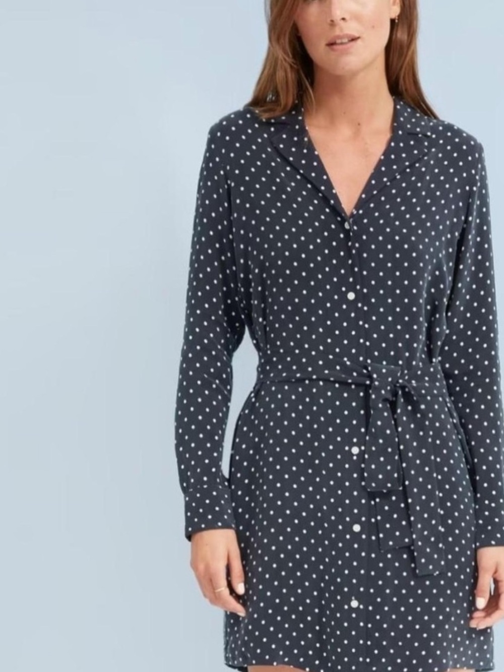 Everlane 100% Cupro Button Down Shirt Dress